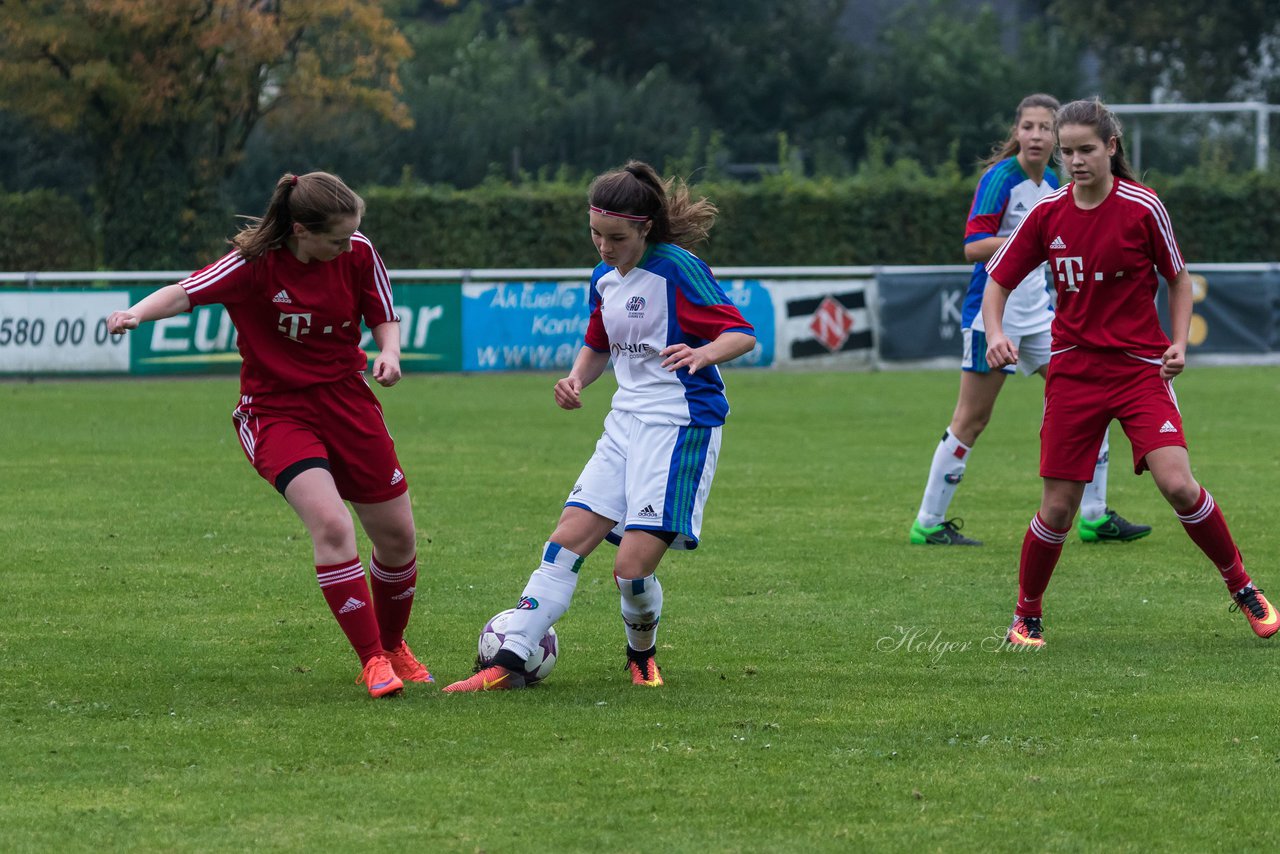 Bild 387 - B-Juniorinnen SV Henstedt Ulzburg - SV Wahlstedt : Ergebnis: 11:0